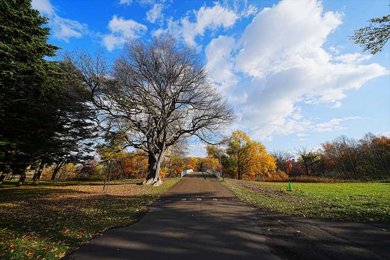 1111_札幌真駒内公園_北海道