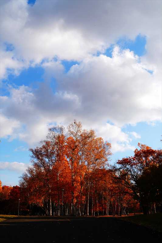 1115_札幌真駒内公園_北海道
