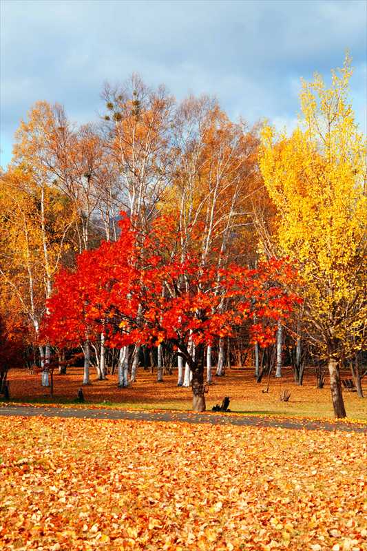 1118_札幌真駒内公園_北海道