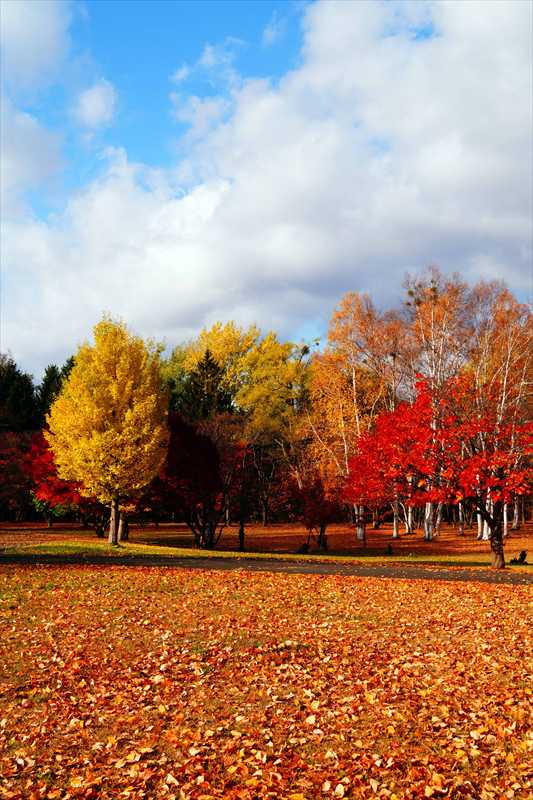1123_札幌真駒内公園_北海道