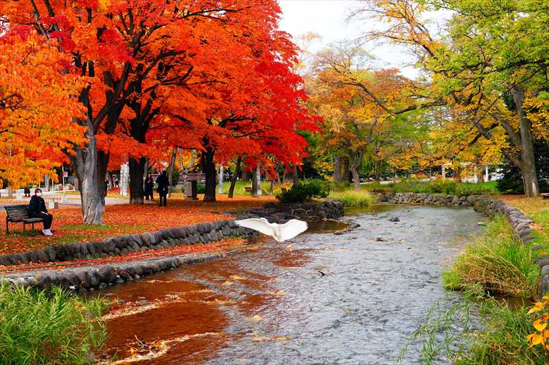 1099_札幌中島公園_北海道