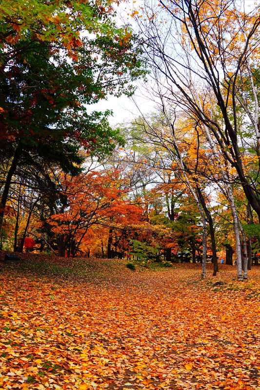 1102_札幌中島公園_北海道