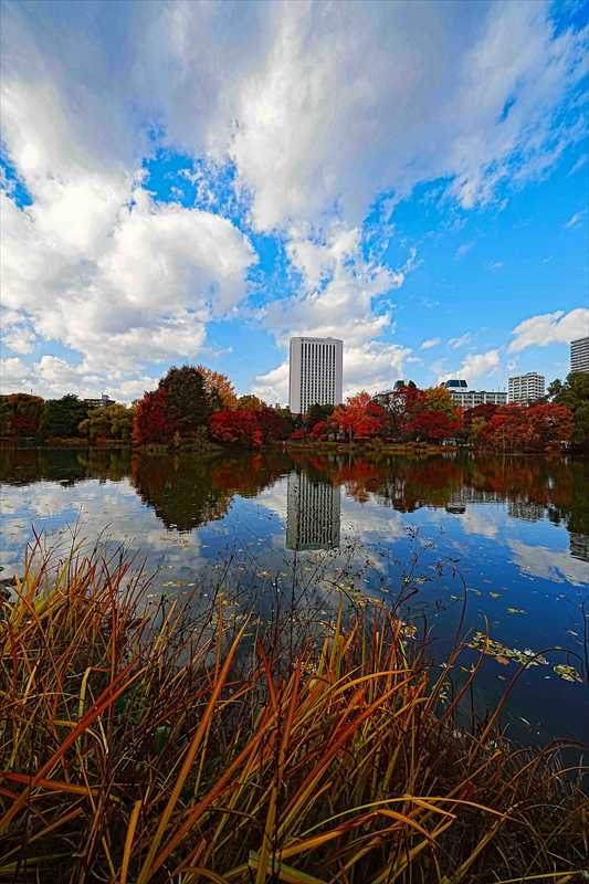 1104_札幌中島公園_北海道