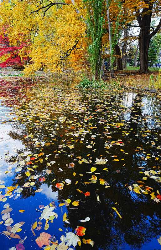 1096_札幌道庁赤れんが庁舎_北海道