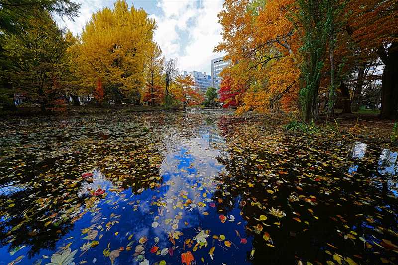 1098_札幌道庁赤れんが庁舎_北海道