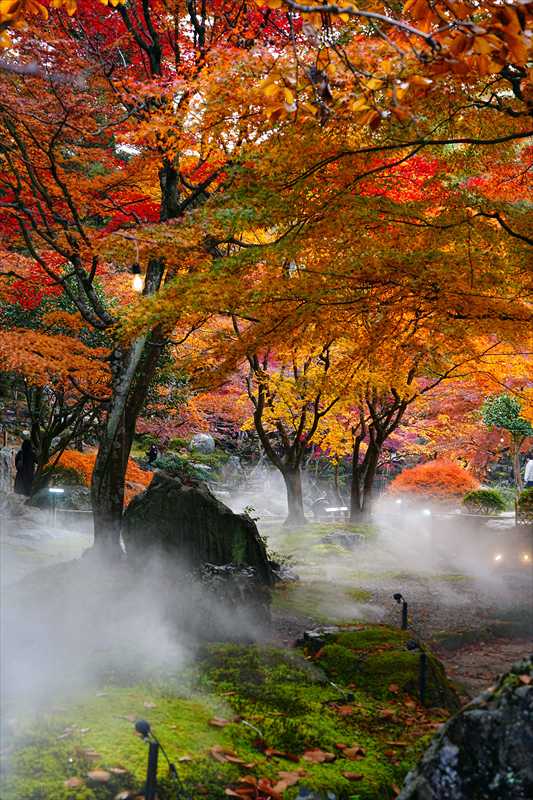 1006_高崎徳明園_群馬