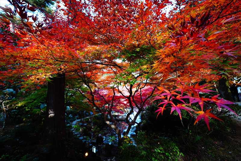 1011_高崎徳明園_群馬