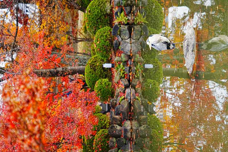 1136_洛中 東寺_京都