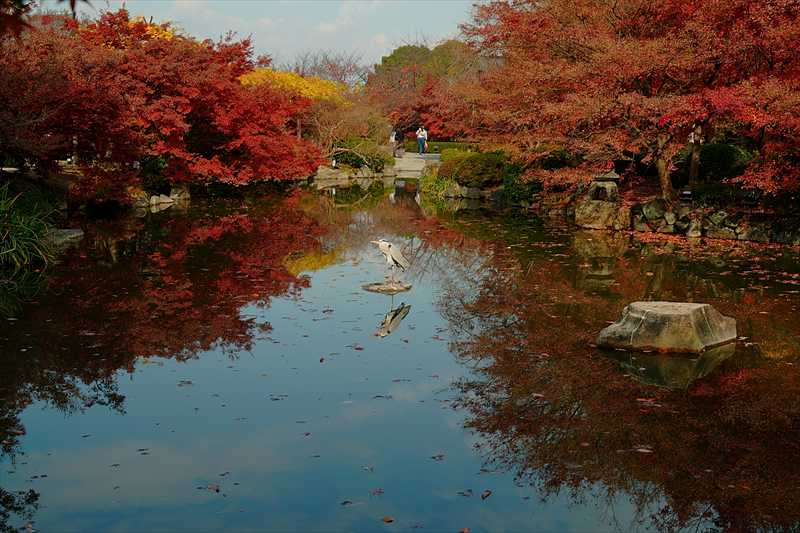 1145_洛中 東寺_京都