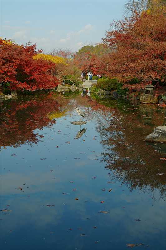 1146_洛中 東寺_京都