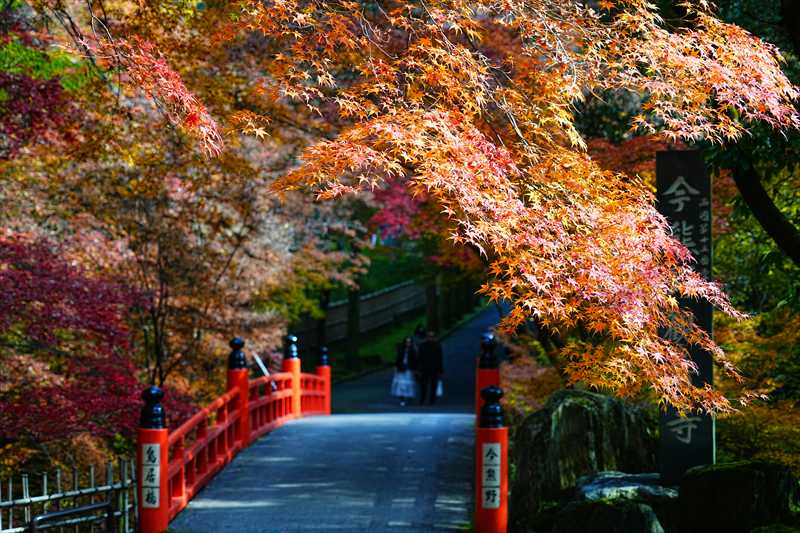 1073_洛東 今熊野観音寺_京都