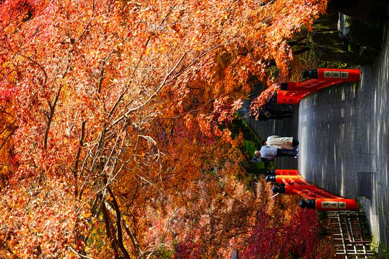 1075_洛東 今熊野観音寺_京都