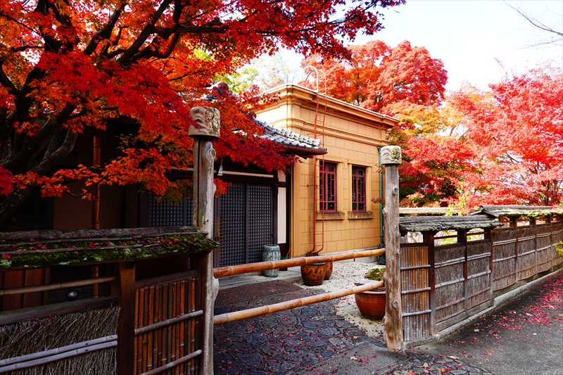 1183_洛東 そば茶寮 澤正_京都