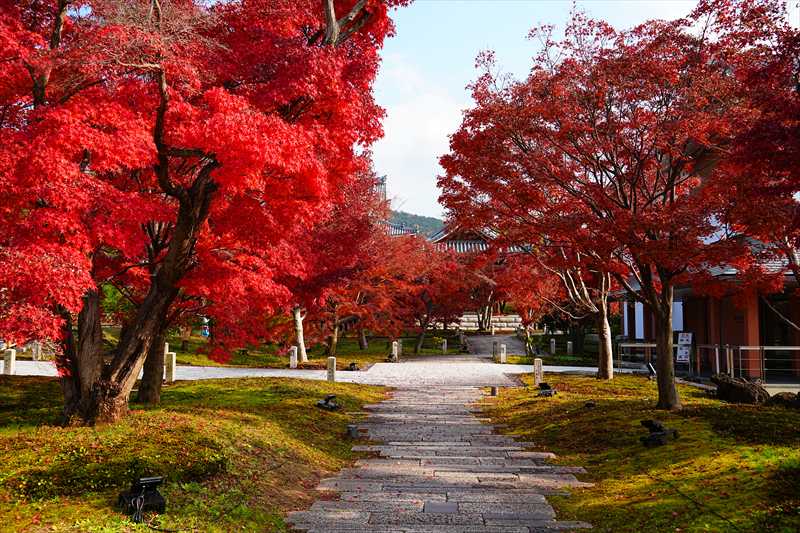 1047_洛東 智積院_京都