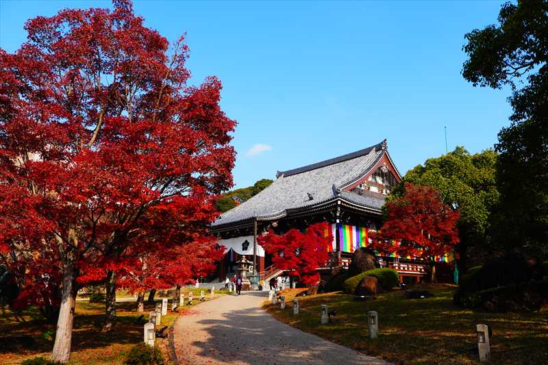1052_洛東 智積院_京都