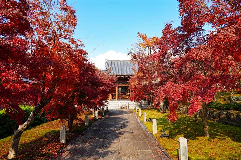 1053_洛東 智積院_京都