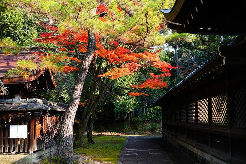 1203_洛東 大谷本廟_京都