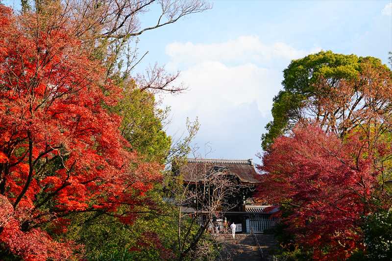 1207_洛東 大谷本廟_京都