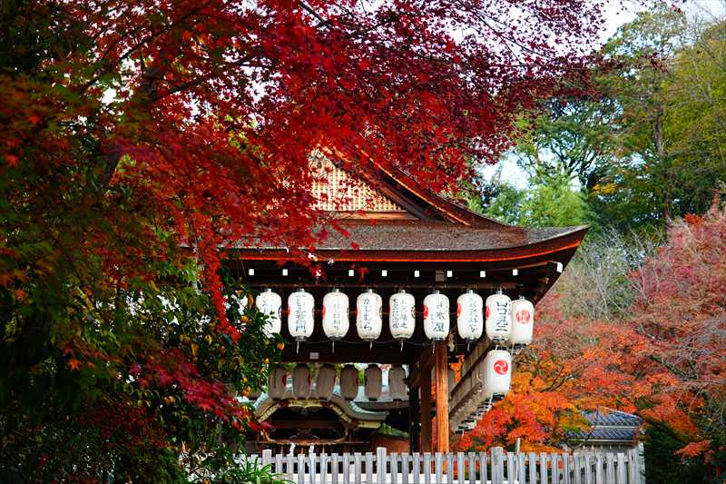 1217_洛東 粟田神社_京都