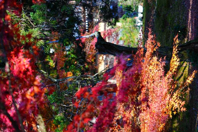 1009_洛東 南禅寺_京都