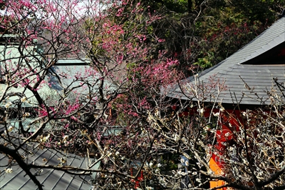 1180_鎌倉荏柄天神社_神奈川県