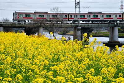 1022_鶴見川_神奈川県