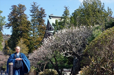 1001_洛東 総本山 智積院_京都府