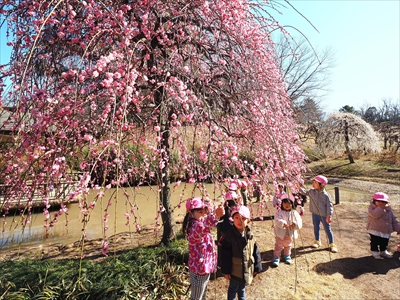 1135_大倉山公園_神奈川県