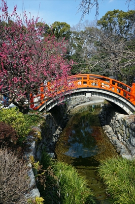 1008_洛北 賀茂御祖神社（下鴨神社）_京都府