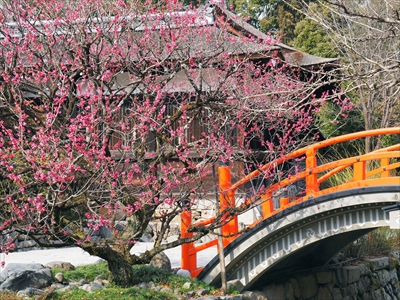 1012_洛北 賀茂御祖神社（下鴨神社）_京都府