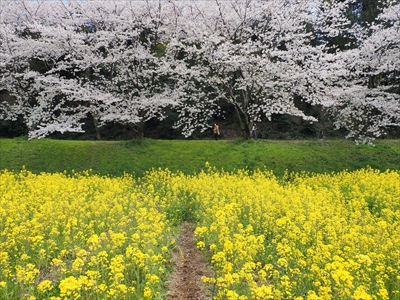 1052_水城跡_福岡県