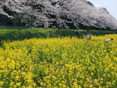 1056_水城跡_福岡県