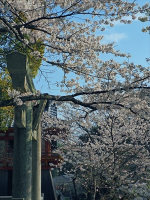 1033_大宰府天満宮_福岡県