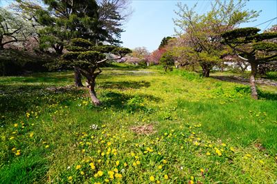 1001_松前公園_北海道