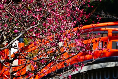 1017_洛北 賀茂御祖神社（下鴨神社）_京都府