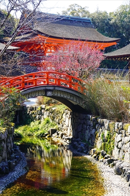 1019_洛北 賀茂御祖神社（下鴨神社）_京都府