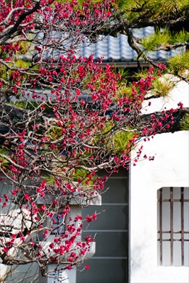 1010_洛中 法住寺_京都府