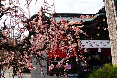 1002_綱敷天満宮_福岡県