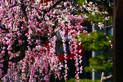 1016_綱敷天満宮_福岡県