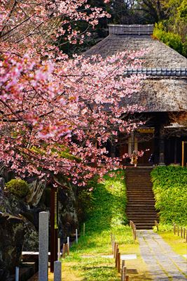 1001_西芳寺_神奈川県