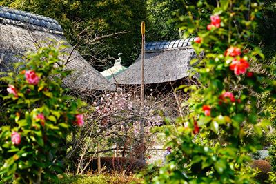 1003_西芳寺_神奈川県