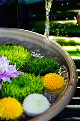 1079_滋賀縣護國神社_滋賀県