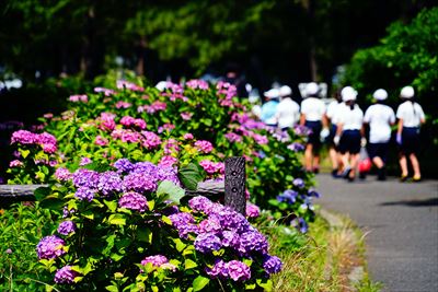 1018_野島公園_神奈川県