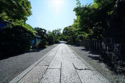 1001_洛中 養源院_京都府