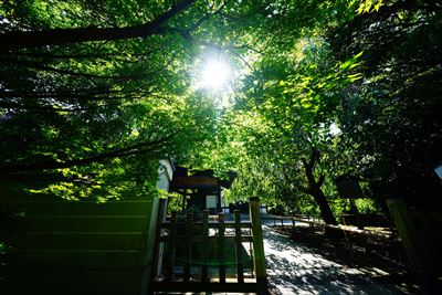 1004_洛中 養源院_京都府