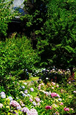 1018_洛東 智積院_京都府