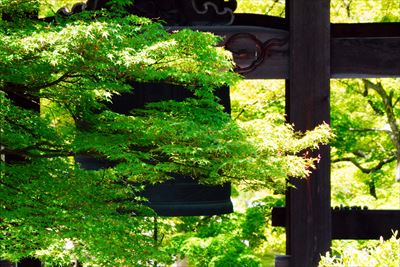 1005_洛東 智積院_京都府