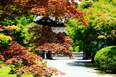 1030_洛南 勧修寺_京都府