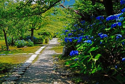 1056_洛南 勧修寺_京都府