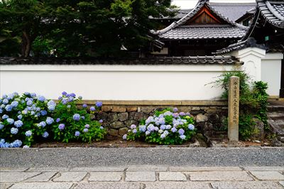 1051_洛東 瑞泉院_京都府